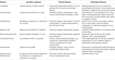 Dermatopathology and the Diagnosis of Fungal Infections